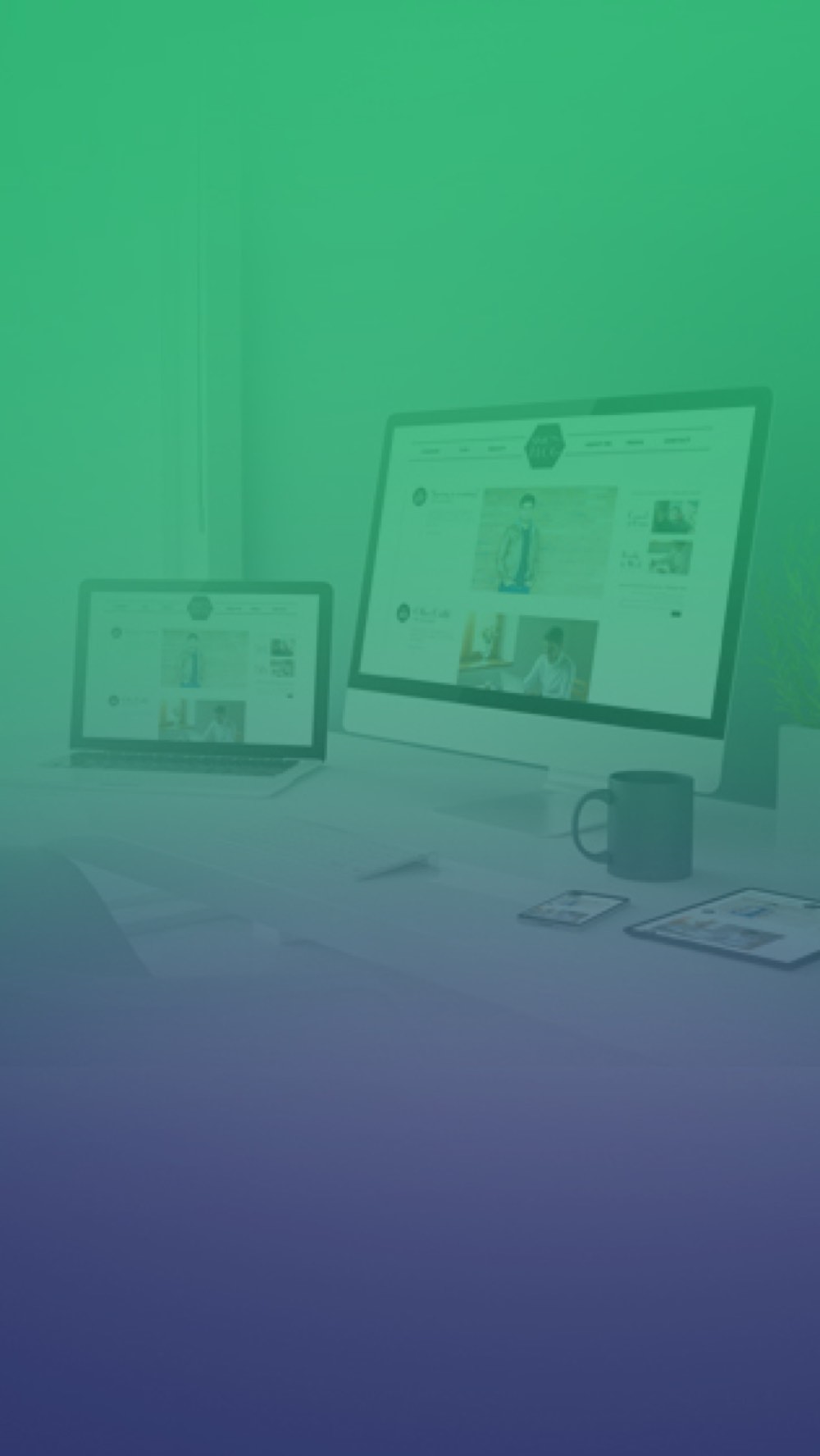 Website Development & Mobile Application